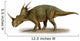 Styracosaurus Albertensis Prehistoric Era Wall Decal