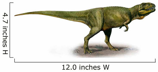 Duriavenator Hesperis Prehistoric Era Wall Decal
