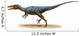 Austroraptor Cabazai Prehistoric Era Wall Decal