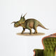 Einiosaurus Procurvicornis Prehistoric Era Wall Decal