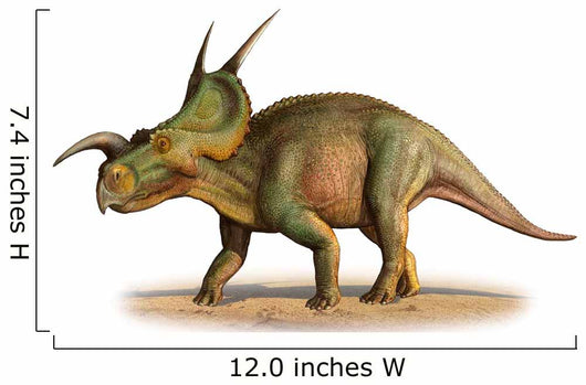 Einiosaurus Procurvicornis Prehistoric Era Wall Decal