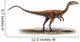 Coelophysis Bauri Prehistoric Era Wall Decal