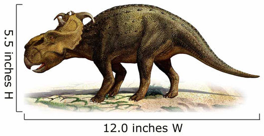 Pachyrhinosaurus Canadensis Prehistoric Era Wall Decal