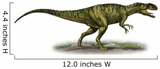 Neovenator Salerii Prehistoric Era Wall Decal