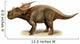 Achelousaurus Horneri Prehistoric Era Wall Decal