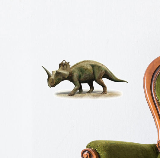 Centrosaurus Apertus Prehistoric Era Wall Decal