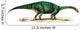 Plateosaurus Engelhardti Prehistoric Era Wall Decal