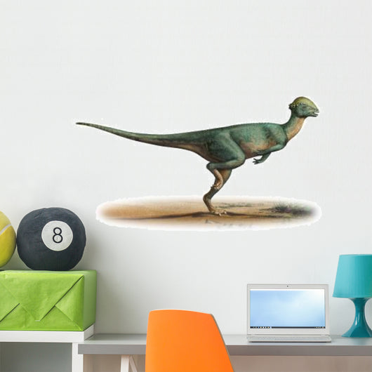 Stegoceras Validus Prehistoric Era Wall Decal