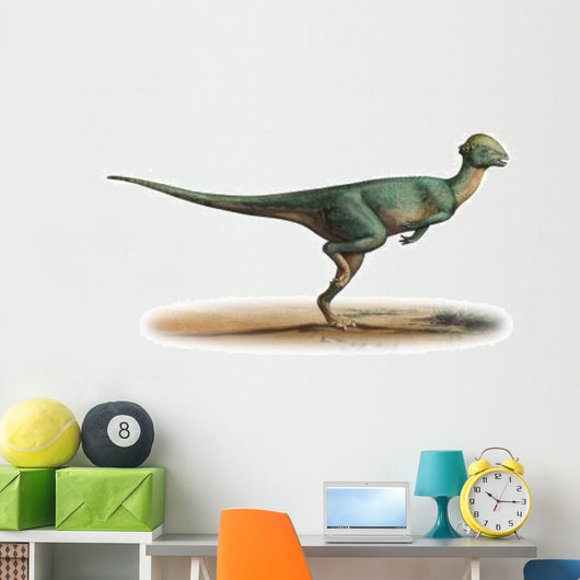 Stegoceras Validus Prehistoric Era Wall Decal