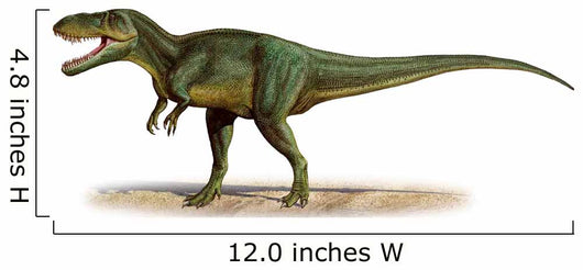 Torvosaurus Tanneri Prehistoric Era Wall Decal