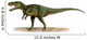 Torvosaurus Tanneri Prehistoric Era Wall Decal