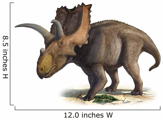 Coahuilaceratops Magnacuerna Prehistoric Era Wall Decal