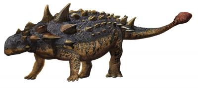 Euoplocephalus Tutus Prehistoric Era Wall Decal