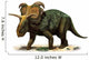 Medusaceratops Lokii Prehistoric Era Wall Decal
