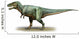 Daspletosaurus Torosus Prehistoric Era Wall Decal