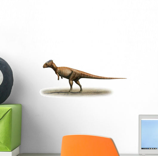 Homalocephale Calathocercos Prehistoric Era Wall Decal