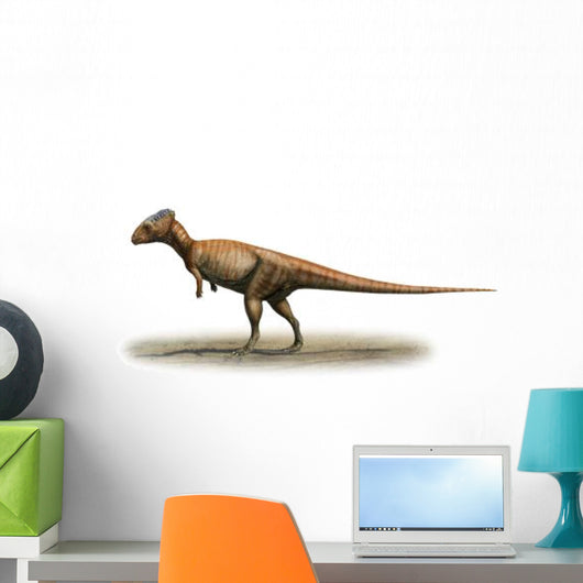 Homalocephale Calathocercos Prehistoric Era Wall Decal