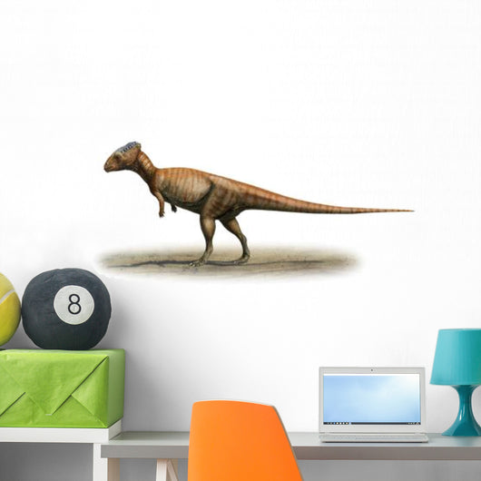 Homalocephale Calathocercos Prehistoric Era Wall Decal