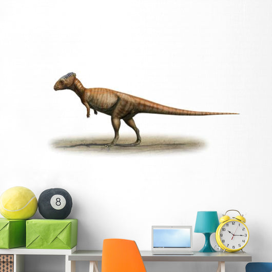 Homalocephale Calathocercos Prehistoric Era Wall Decal