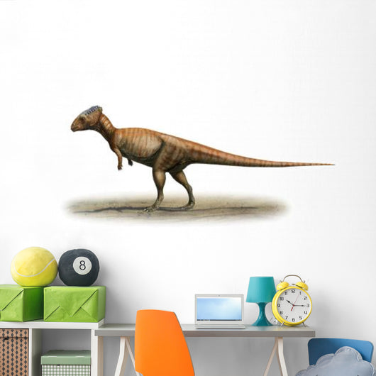 Homalocephale Calathocercos Prehistoric Era Wall Decal