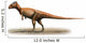 Homalocephale Calathocercos Prehistoric Era Wall Decal