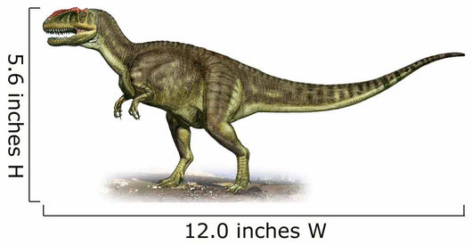 Yangchuanosaurus Shangiouensis Prehistoric Era Wall Decal