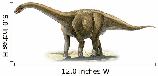 Rapetosaurus Krausei Prehistoric Era Wall Decal
