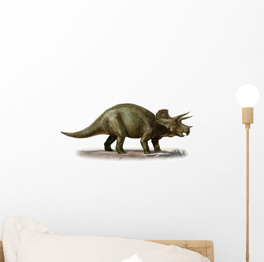 Triceratops Prorsus Prehistoric Era Wall Decal