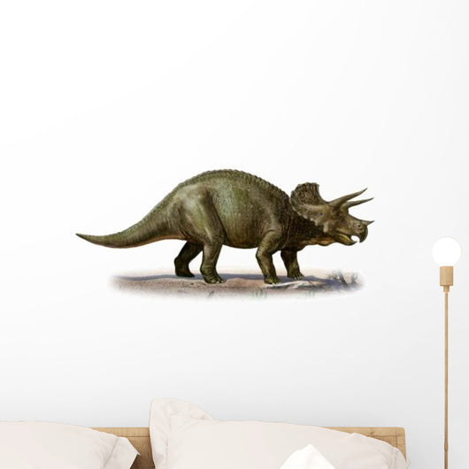 Triceratops Prorsus Prehistoric Era Wall Decal