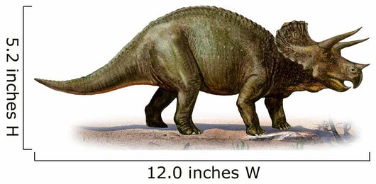 Triceratops Prorsus Prehistoric Era Wall Decal