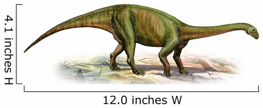 Massospondylus Carinatus Prehistoric Era Wall Decal
