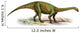 Massospondylus Carinatus Prehistoric Era Wall Decal