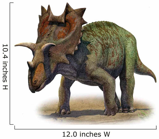 Ceratops Montanus Prehistoric Era Wall Decal