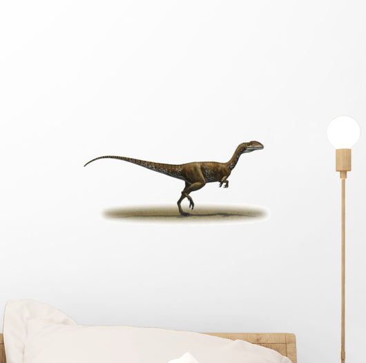 Megapnosaurus Kayentakatae Prehistoric Era Wall Decal