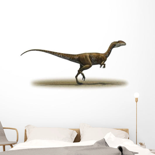 Megapnosaurus Kayentakatae Prehistoric Era Wall Decal