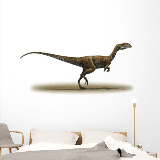 Megapnosaurus Kayentakatae Prehistoric Era Wall Decal