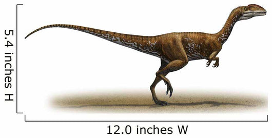 Megapnosaurus Kayentakatae Prehistoric Era Wall Decal