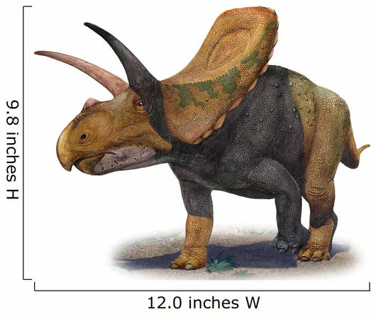 Torosaurus Latus Prehistoric Era Wall Decal