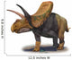 Torosaurus Latus Prehistoric Era Wall Decal