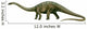 Diplodocus Prehistoric Era Dinosaur Wall Decal