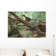 Group Balaur Bondoc Prehistoric Wall Decal