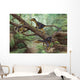 Group Balaur Bondoc Prehistoric Wall Decal