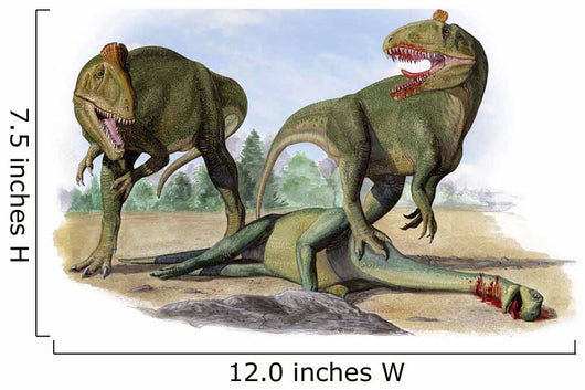 Two Cryolophosaurus Ellioti Dinosaurs Wall Decal