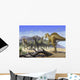 Altispinax Dunkeri Dinosaurs Attack Wall Decal