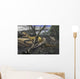 Neovenator Salerii Is Approached Wall Decal