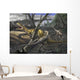 Neovenator Salerii Is Approached Wall Decal