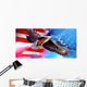 American Eagle Flag Wall Mural