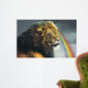 Lion Of Judah Wall Mural