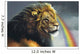 Lion Of Judah Wall Mural