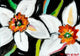 Daffodils Wall Decal Design 2